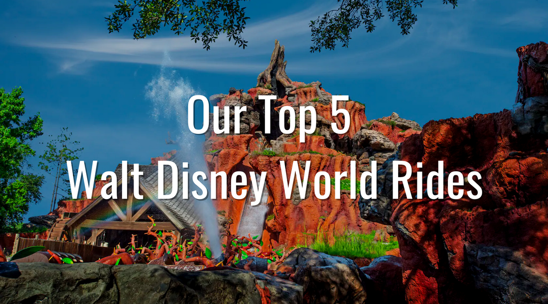 Our Top 5 Disney Parks Rides! - The Mouse Merch Box